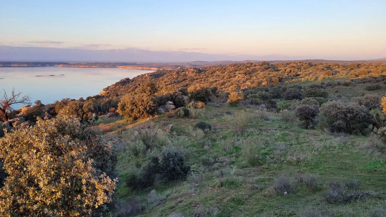 FINCA EN PERALEDA DE SAN ROMAN (Extremadura)