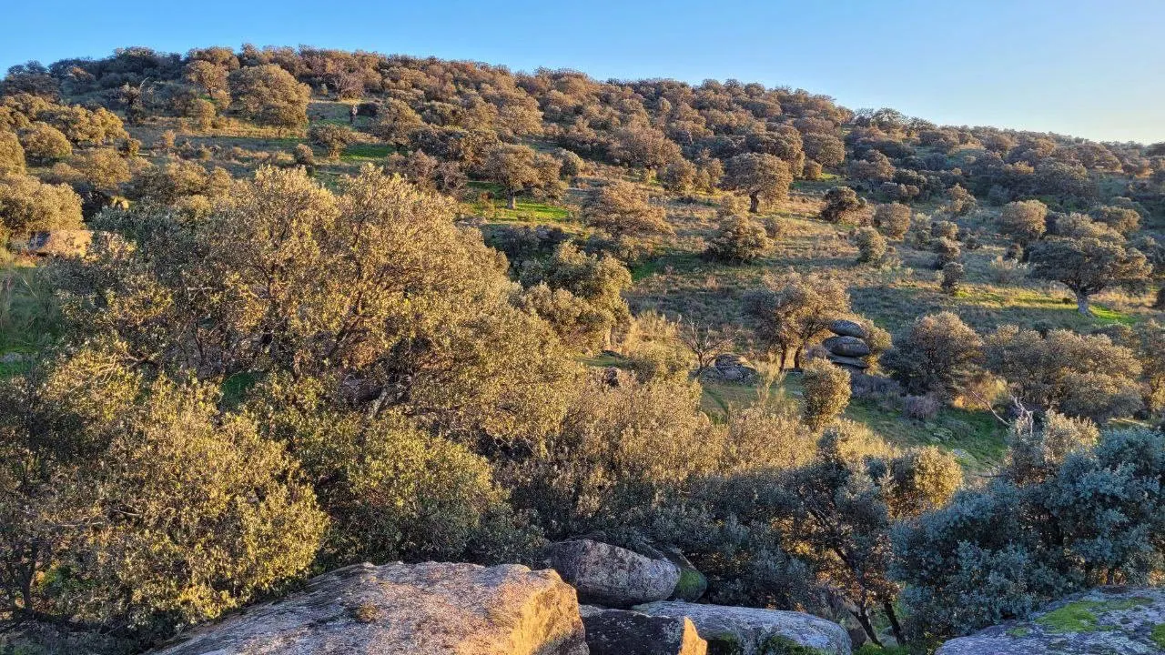 FINCA EN PERALEDA DE SAN ROMAN (Extremadura)