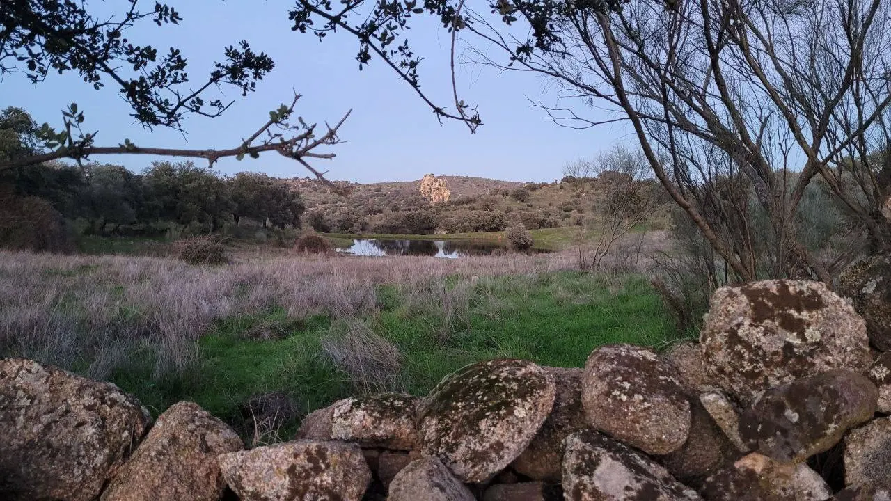 FINCA EN PERALEDA DE SAN ROMAN (Extremadura)
