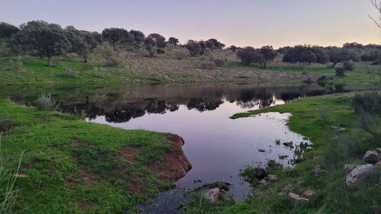 FINCA EN PERALEDA DE SAN ROMAN (Extremadura)