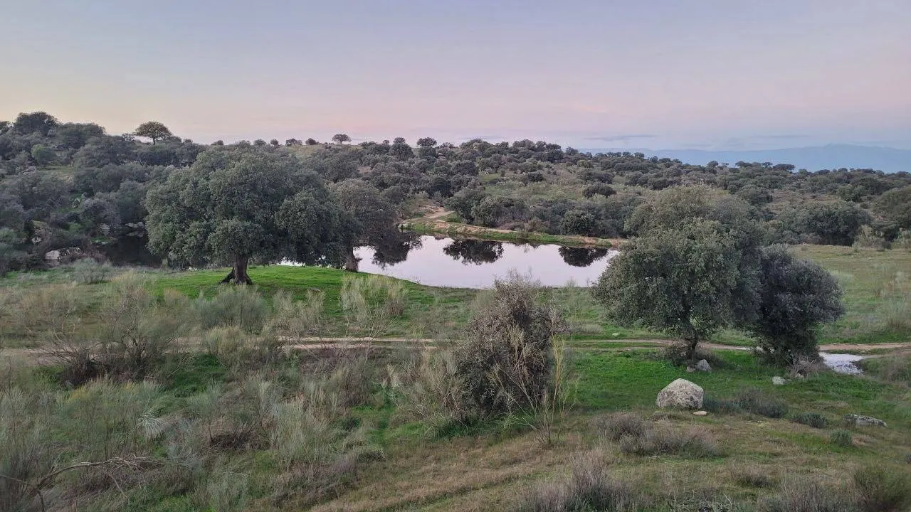 FINCA EN PERALEDA DE SAN ROMAN (Extremadura)