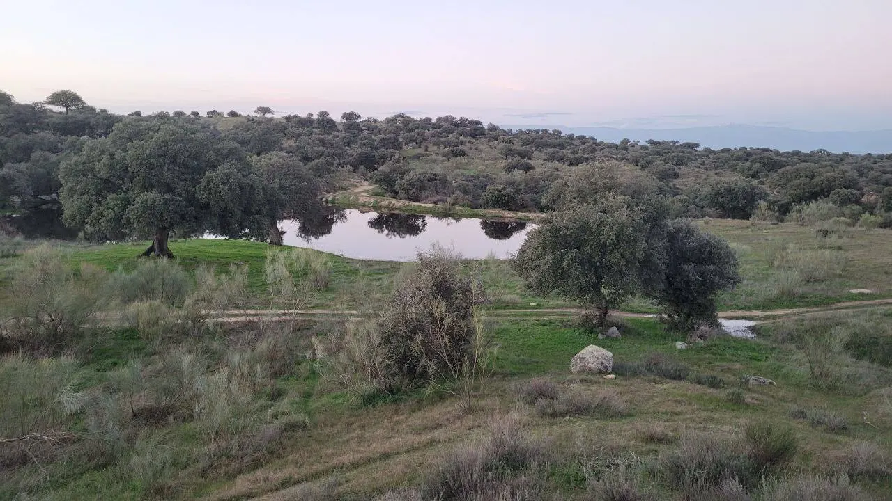 FINCA EN PERALEDA DE SAN ROMAN (Extremadura)